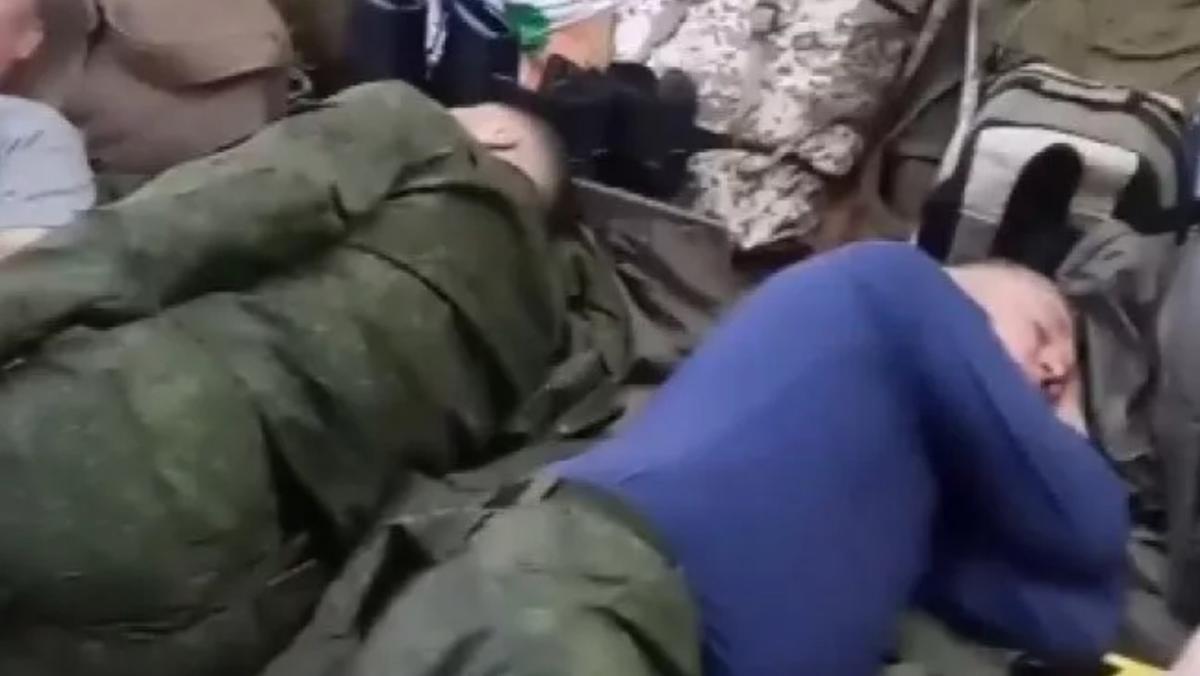 Енот из херсона - медиарейтинг - лента новостей днр