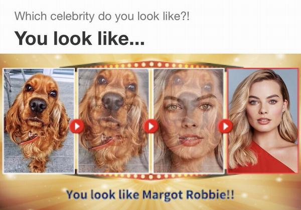 Маска инстаграм "animal you look like". новая фишка gradient