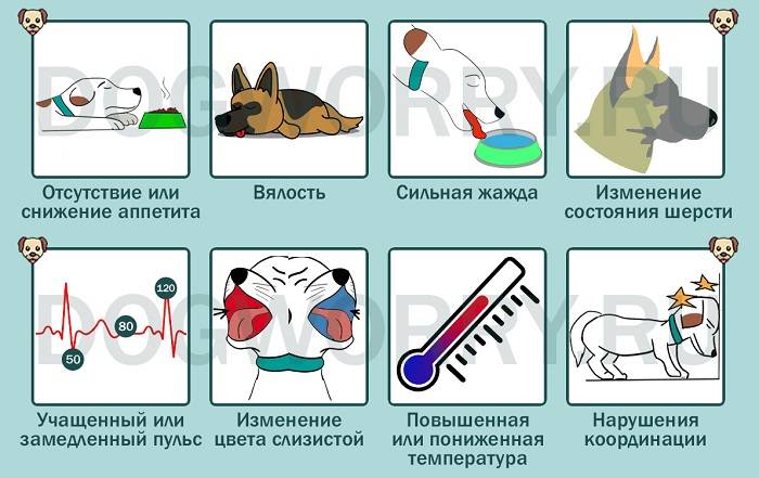 Хотят ли «кузьмичи» войны, или здравствуй, ж… новый год