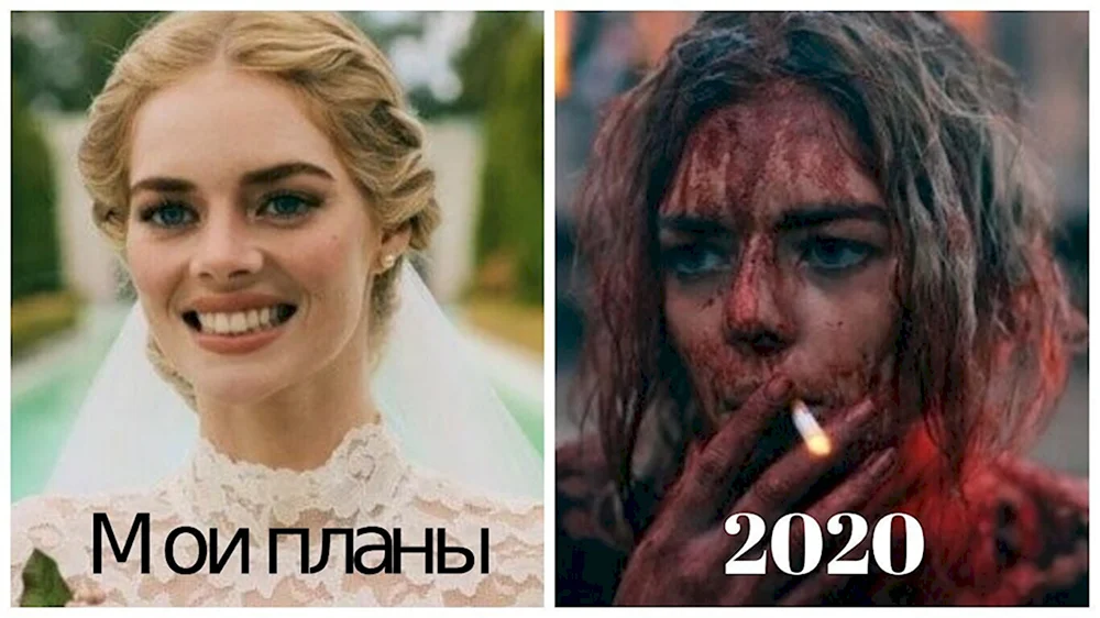Названы самые смешные мемы 2020 года