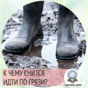 К чему снится  грязь во сне — по 90 сонникам! если видишь во сне грязь что значит?