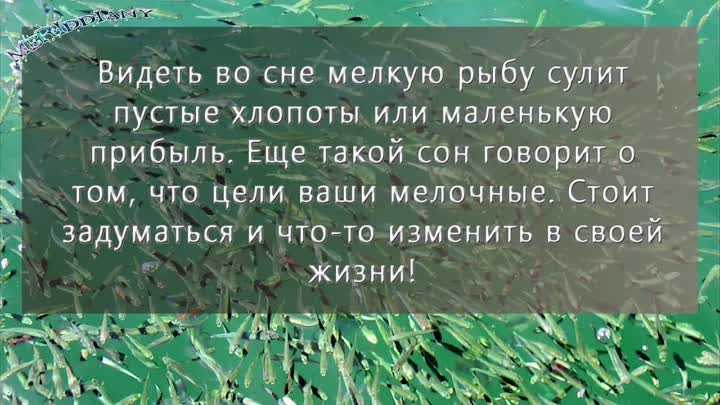 Ловить рыбу во сне. сонник про ловлю рыбы во сне на удачку, руками
