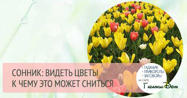 К чему снится цветы?