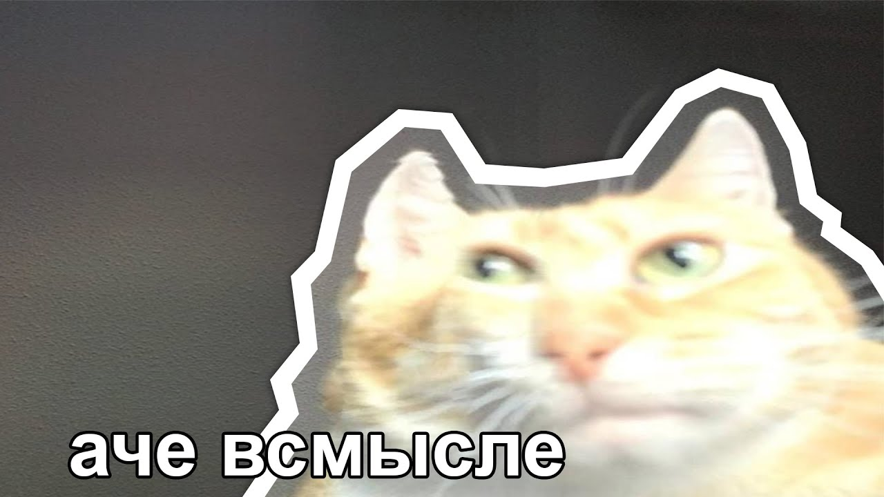 Шаблоны для мемов да создать мем meme arsenalcom video, mp3, & image - izeak.com download
