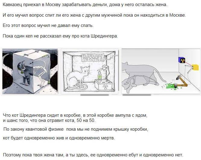 Кот шрёдингера – что это значит