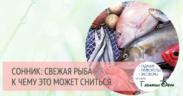 Что означает рыбалка во сне?