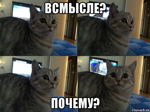 Ум ваче сей мем что значит