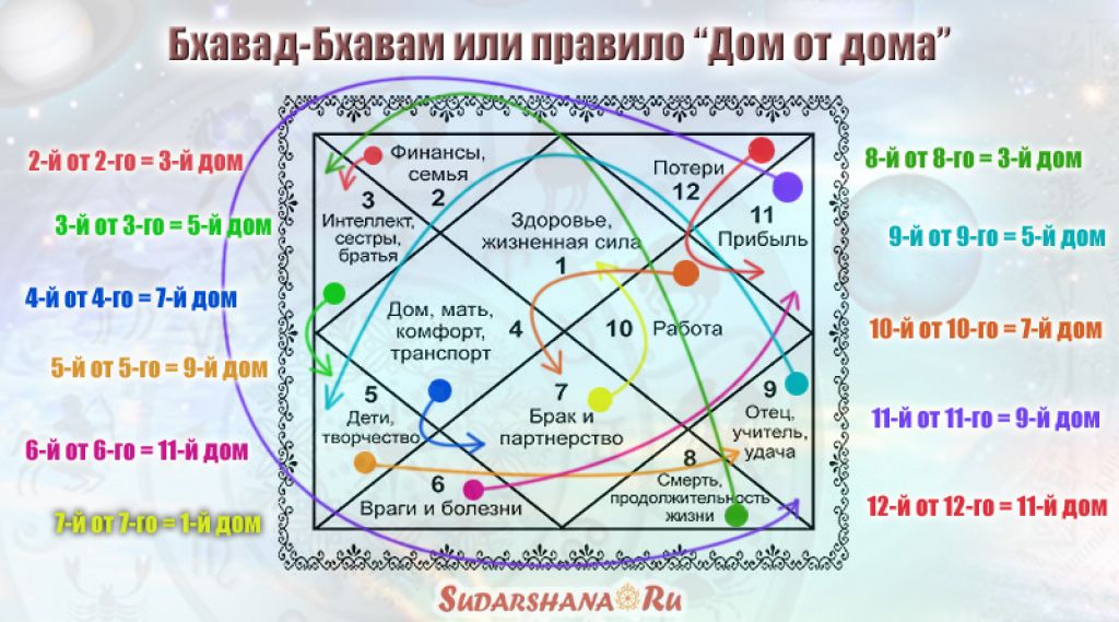 Чужая умершая собака приснилась живой