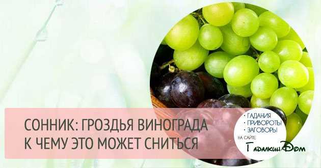 К чему снится виноград по толкованию популярных сонников. к чему снится виноград: спелый, кислый, погибший - автор екатерина данилова - журнал женское мнение