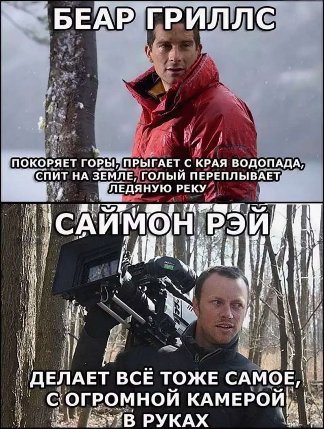 Цитата беара гриллса