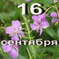 Айдолы, родившиеся в сентябре – unnie.ru