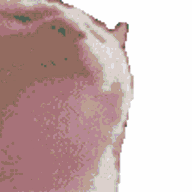 Гифки с котиками. 108 прикольных, милых gif анимаций
