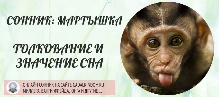 К чему снится обезьяна: спящая, агрессивная, говорящая? основные толкования - к чему снится обезьяна по разным сонникам - автор екатерина данилова - журнал женское мнение